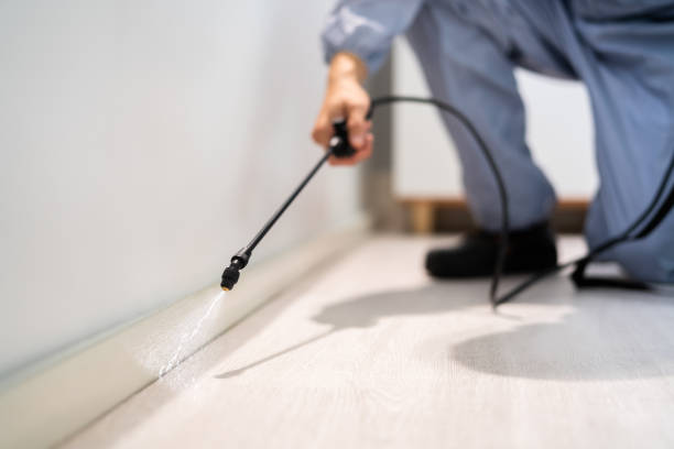 Licensed Termite Control service in Jacksonville, FL - Nex Pest Control