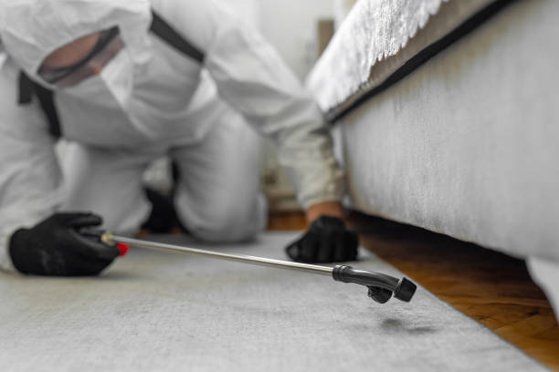 Professional Termite Control technician working in Jacksonville, FL