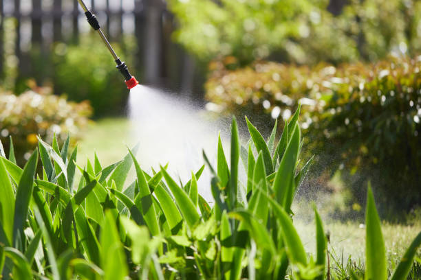 24/7 Emergency Termite Control experts in Jacksonville, FL