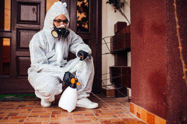 Reliable Termite Control contractor in Jacksonville, FL by Nex Pest Control